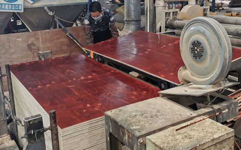 千里迢迢考察這家塑面木芯建筑模板工廠 千里迢迢考察這家塑面木芯建筑模板工廠