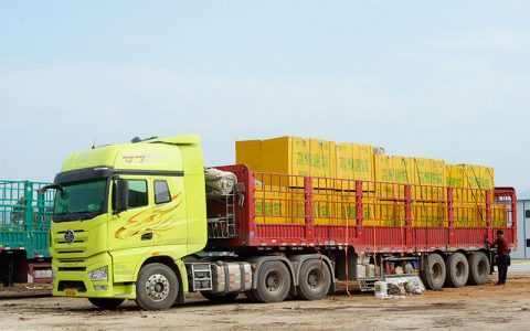 江西上饒客戶訂購八層桉木模板 江西上饒客戶訂購八層桉木模板