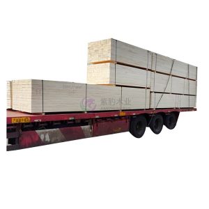 鐵杉木建筑木方 鐵杉木建筑木方