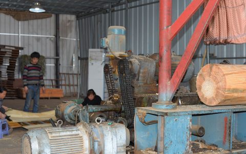 松桉木單板設(shè)備 松桉木單板設(shè)備