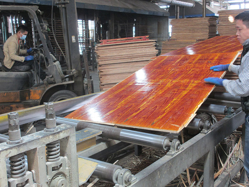 柬埔寨建筑模板價格多少？為什么愿意跨境來廣西采購？