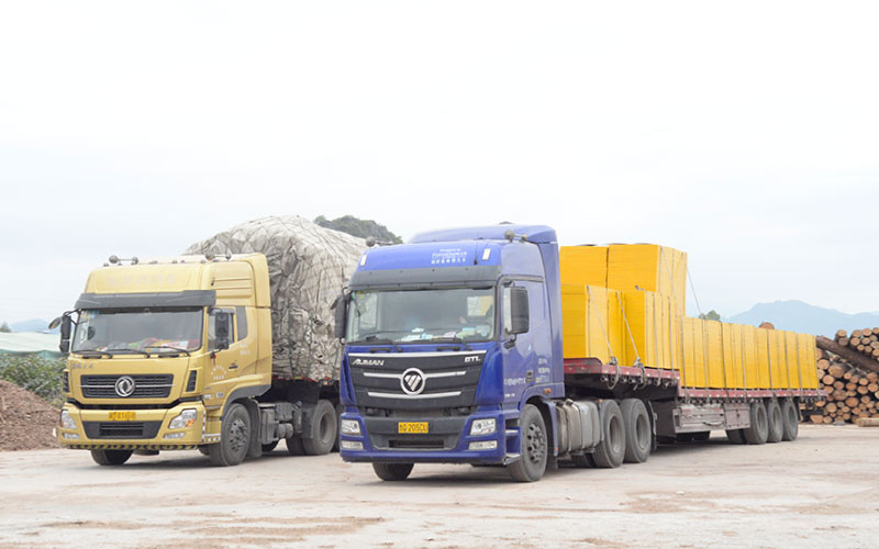 具有出口建筑模板資質(zhì)的廠家有哪些？