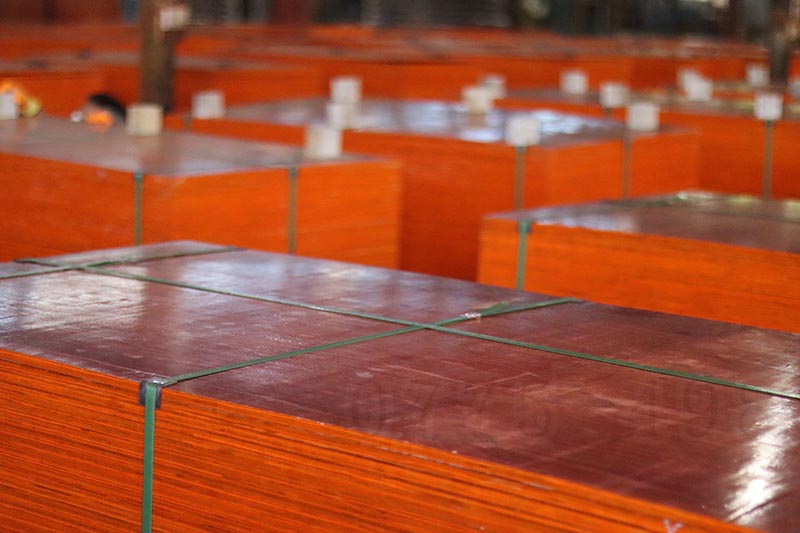 防城港哪里建筑模板好?選對了很省錢! 防城港哪里建筑模板好?選對了很省錢!