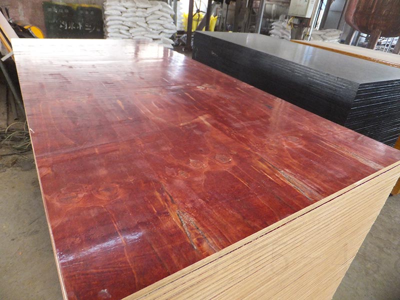 桉木模板大概多少錢?建筑模板價格一覽表